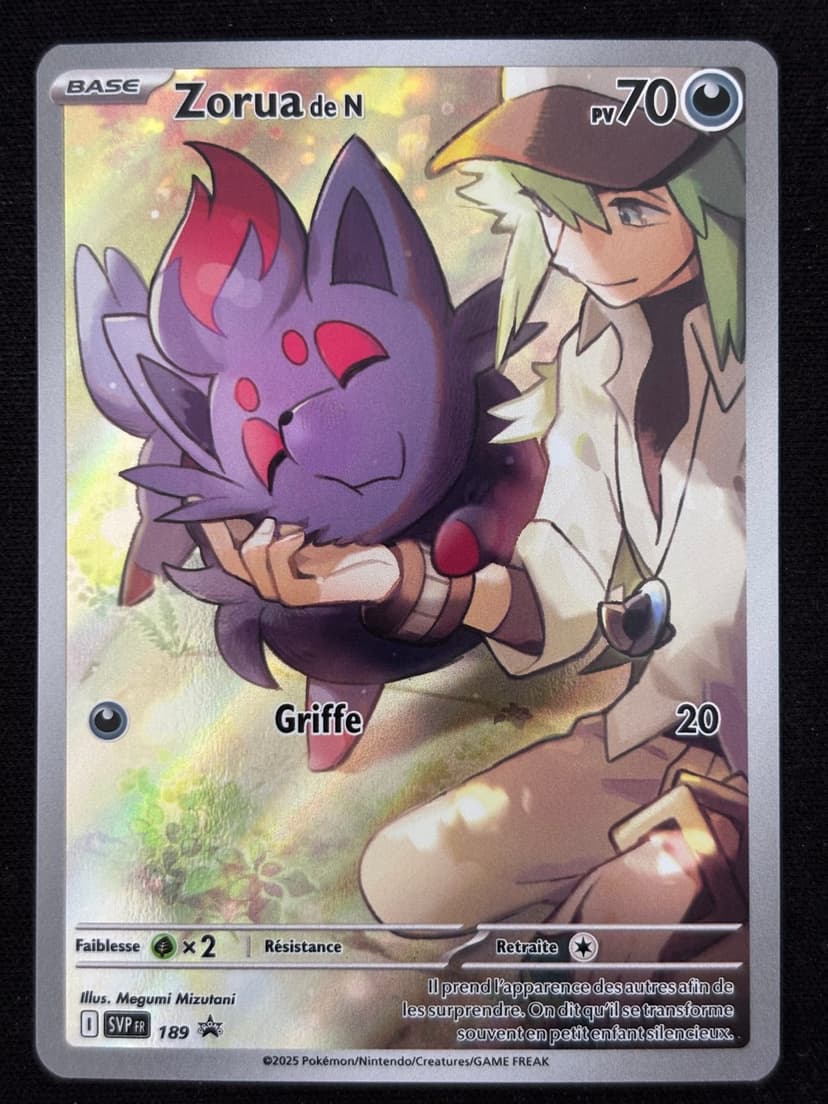 Zorua de N